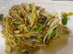-丁老爷子苏香圆