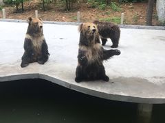 -贵州森林野生动物园