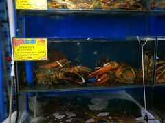 水产区-蚝专家(北滘店)