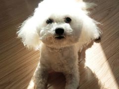 -中国工商银行(上海市延安西路支行)