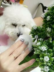 手部美甲-RL Nail·瑞丽美甲美睫品牌原创店
