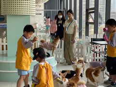 -怪兽屋·羊驼·猫咖·狗咖(俊华广场店)