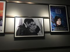 Palace&nbsp;Cinema百丽宫影城(大慈寺太古里店)-成都百丽宫影城(LUXE太古里店)