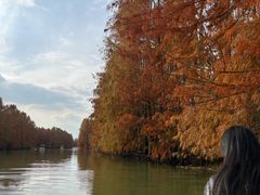 -上海海湾国家森林公园