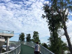 -漩门湾国家湿地公园