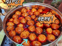 -重庆睡佛山森林公园