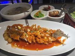 -姑苏家宴·苏帮菜·松鼠桂鱼(苏州总店)