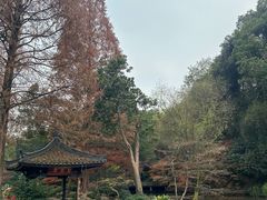 -杭州植物园