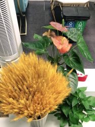 -斐尔国际皮肤管理中心