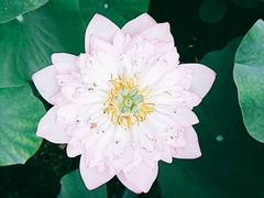 -龙环葡韵住宅式博物馆