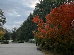 -北京国家会计学院