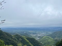 -莫干山风景区