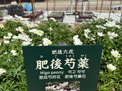 -水前寺成趣园