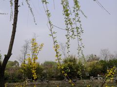 -汉陵苑