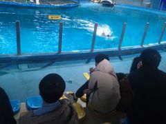 -苏州海洋馆