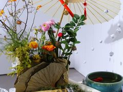 -深圳国际园林花卉博览园