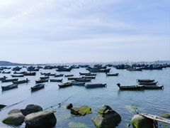 -海源公园