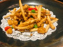 -碧丽宫大酒店(召稼楼店)
