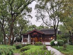 -上海市保健医疗中心