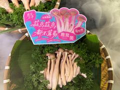 -芸山季·云南野生菌火锅(人民广场来福士店)