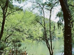 -青龙山国家森林公园
