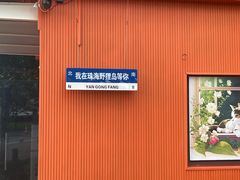 -野狸岛