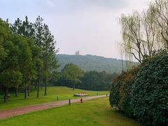 -上海佘山世茂艾美酒店