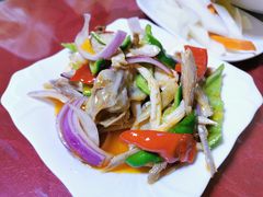 椒麻鸡-马白开来特色羊排揪片子  (总店)