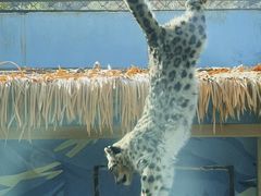 -青藏高原野生动物园