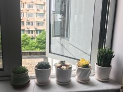 -玲珑秀身坊