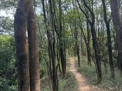 -广州市帽峰山景区