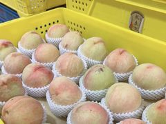 -老袁家蜜桃农场·阳山水蜜桃