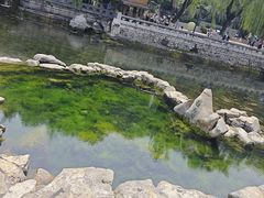 -阿水大杯茶(泉城路店)