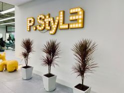 -P.STYLE派斯造型