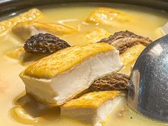 羊肚菌烧豆腐-口味堂(惠济路店)