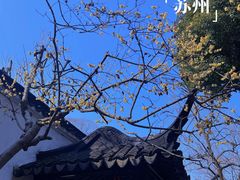 -拙政园