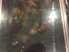 鸿运兔腿-鸿运兔·手撕烤兔(天府广场店)