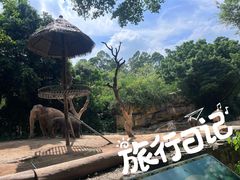 -广州长隆野生动物世界