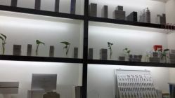 -蕾特恩专业祛痘国际连锁