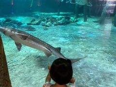 -华夏文旅海洋公园