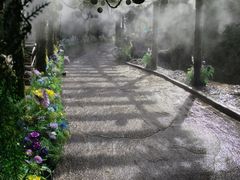 -大平台龙居瀑布旅游区
