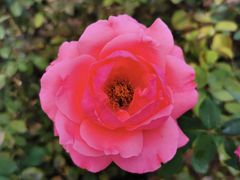 -北京园博大酒店