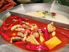 鸳鸯锅-麻田会 ·鲜活现烹·牛蛙火锅(珠江新城维家思广场店)