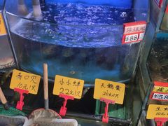 水产区-蔚海之都·象山蒸汽海鲜(仙霞路店)