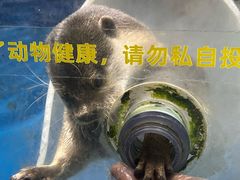 -大连圣亚海洋世界