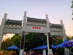 -东湖落雁景区