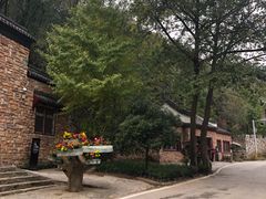 -木兰云雾山