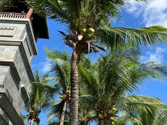 -海南清水湾莱佛士酒店