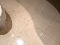 -上海浦东丽晟假日酒店