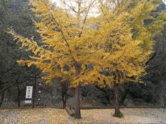 -水墨汀溪风景区